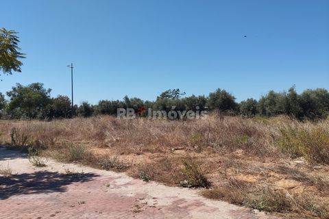 Helårsgrund i Entroncamento, Santarem, Entroncamento - € 85.000 | Ref: 01233-24 - foto 6