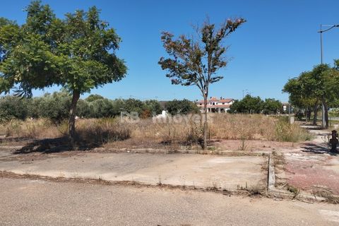 Helårsgrund i Entroncamento, Santarem, Entroncamento - € 85.000 | Ref: 01233-24 - foto 4