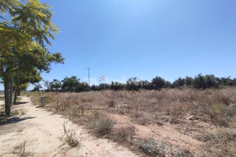 Helårsgrund i Entroncamento, Santarem, Entroncamento - € 85.000 | Ref: 01233-24 - foto 1