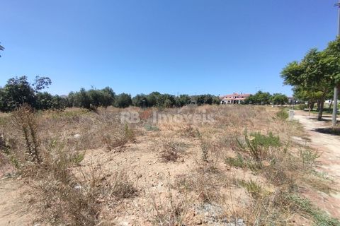 Helårsgrund i Entroncamento, Santarem, Entroncamento - € 85.000 | Ref: 01233-24 - foto 8