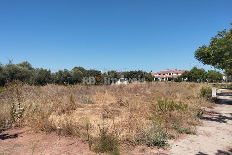 Helårsgrund i Entroncamento, Santarem, Entroncamento - € 85.000 | Ref: 01233-24 - foto 12