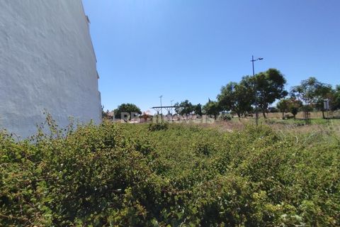 Helårsgrund i Entroncamento, Santarem, Entroncamento - € 65.000 | Ref: 01232-24 - foto 8