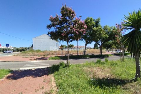 Helårsgrund i Entroncamento, Santarem, Entroncamento - € 65.000 | Ref: 01232-24 - foto 10