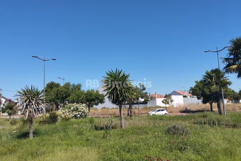 Helårsgrund i Entroncamento, Santarem, Entroncamento - € 65.000 | Ref: 01232-24 - foto 12