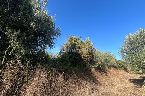 Helårsgrund i Tomar, Santarem, Tomar - € 9.900 | Ref: 01227-24 - foto 9
