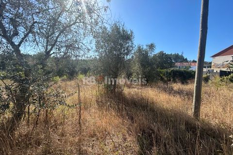 Helårsgrund i Tomar, Santarem, Tomar - € 9.900 | Ref: 01227-24 - foto 31