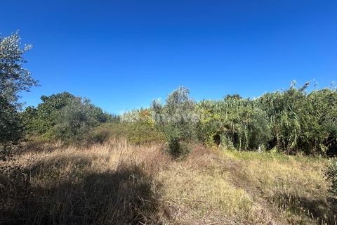 Helårsgrund i Tomar, Santarem, Tomar - € 9.900 | Ref: 01227-24 - foto 33