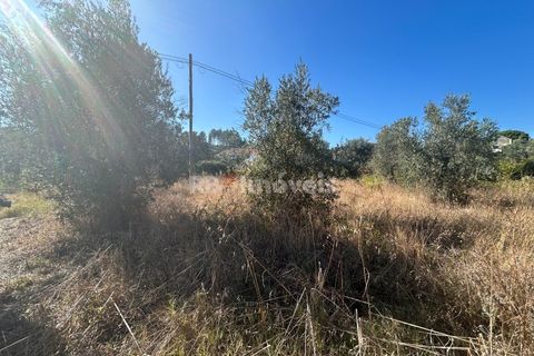 Helårsgrund i Tomar, Santarem, Tomar - € 9.900 | Ref: 01227-24 - foto 34