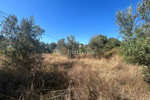 Helårsgrund i Tomar, Santarem, Tomar - € 9.900 | Ref: 01227-24 - foto 35
