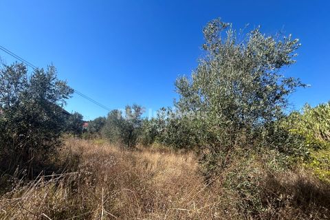 Helårsgrund i Tomar, Santarem, Tomar - € 9.900 | Ref: 01227-24 - foto 36
