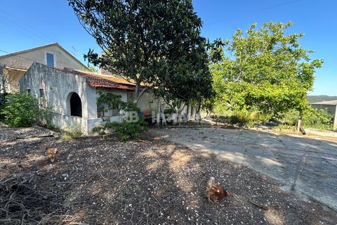 Farm i Tomar, Santarem, Tomar - € 160.000 | Ref: 01274-24 - foto 2