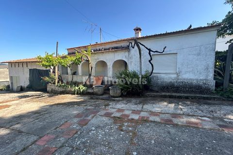 Farm i Tomar, Santarem, Tomar - € 160.000 | Ref: 01274-24 - foto 3