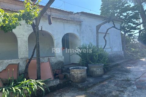 Farm i Tomar, Santarem, Tomar - € 160.000 | Ref: 01274-24 - foto 5
