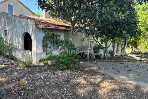 Farm i Tomar, Santarem, Tomar - € 160.000 | Ref: 01274-24 - foto 1
