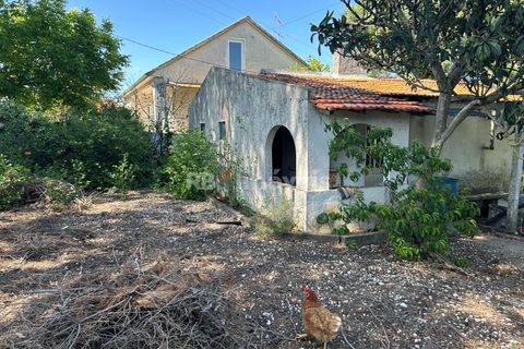 Farm i Tomar, Santarem, Tomar - € 160.000 | Ref: 01274-24 - foto 6
