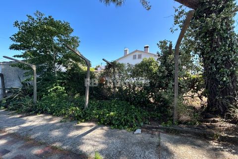 Farm i Tomar, Santarem, Tomar - € 160.000 | Ref: 01274-24 - foto 7