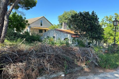 Farm i Tomar, Santarem, Tomar - € 160.000 | Ref: 01274-24 - foto 8