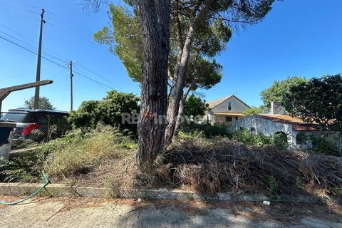 Farm i Tomar, Santarem, Tomar - € 160.000 | Ref: 01274-24 - foto 9