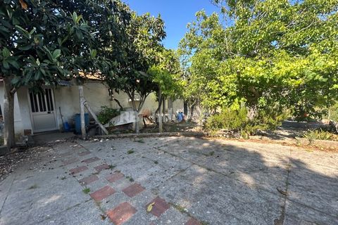 Farm i Tomar, Santarem, Tomar - € 160.000 | Ref: 01274-24 - foto 4
