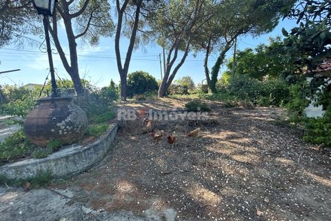 Farm i Tomar, Santarem, Tomar - € 160.000 | Ref: 01274-24 - foto 10