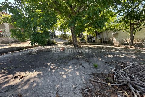 Farm i Tomar, Santarem, Tomar - € 160.000 | Ref: 01274-24 - foto 13