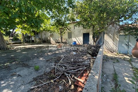 Farm i Tomar, Santarem, Tomar - € 160.000 | Ref: 01274-24 - foto 14