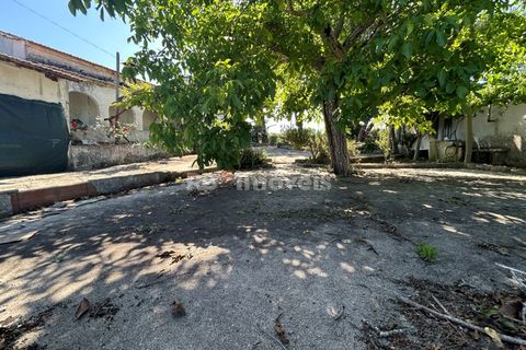 Farm i Tomar, Santarem, Tomar - € 160.000 | Ref: 01274-24 - foto 15