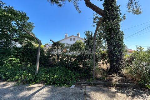 Farm i Tomar, Santarem, Tomar - € 160.000 | Ref: 01274-24 - foto 16