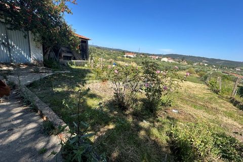 Farm i Tomar, Santarem, Tomar - € 160.000 | Ref: 01274-24 - foto 17