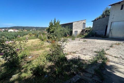 Farm i Tomar, Santarem, Tomar - € 160.000 | Ref: 01274-24 - foto 18