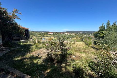 Farm i Tomar, Santarem, Tomar - € 160.000 | Ref: 01274-24 - foto 19