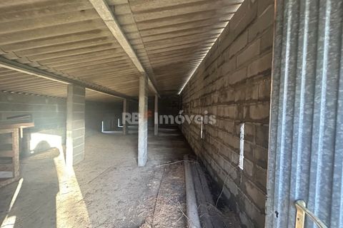 Farm i Tomar, Santarem, Tomar - € 160.000 | Ref: 01274-24 - foto 25