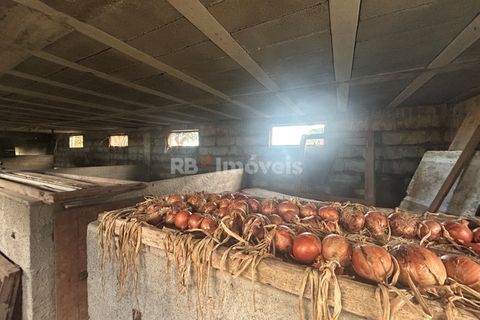 Farm i Tomar, Santarem, Tomar - € 160.000 | Ref: 01274-24 - foto 26
