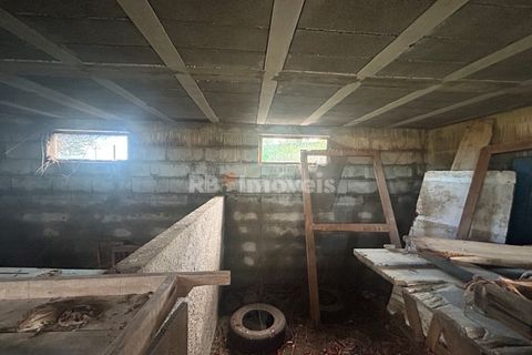 Farm i Tomar, Santarem, Tomar - € 160.000 | Ref: 01274-24 - foto 27