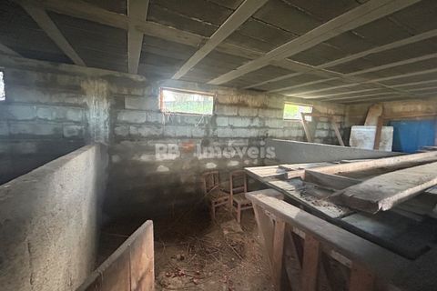 Farm i Tomar, Santarem, Tomar - € 160.000 | Ref: 01274-24 - foto 28