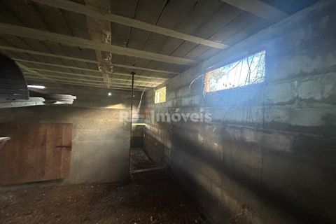 Farm i Tomar, Santarem, Tomar - € 160.000 | Ref: 01274-24 - foto 30