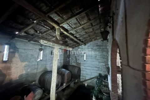 Farm i Tomar, Santarem, Tomar - € 160.000 | Ref: 01274-24 - foto 32