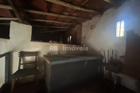Farm i Tomar, Santarem, Tomar - € 160.000 | Ref: 01274-24 - foto 36
