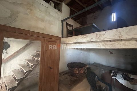 Farm i Tomar, Santarem, Tomar - € 160.000 | Ref: 01274-24 - foto 37