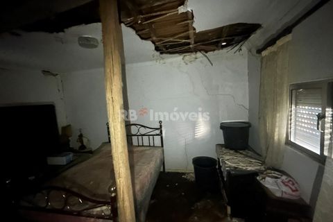 Farm i Tomar, Santarem, Tomar - € 160.000 | Ref: 01274-24 - foto 44