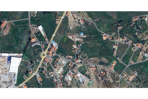 Farm i Tomar, Santarem, Tomar - € 160.000 | Ref: 01274-24 - foto 46