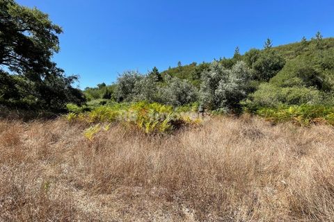Terra a Gaviao, Portalegre, Gaviao - € 62.000 | Ref: 01358-24 - foto 2