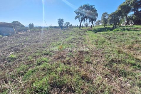 Helårsgrund i Tomar, Santarem, Tomar - € 43.700 | Ref: 01263-24 - foto 5