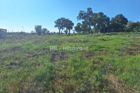 Helårsgrund i Tomar, Santarem, Tomar - € 43.700 | Ref: 01263-24 - foto 2