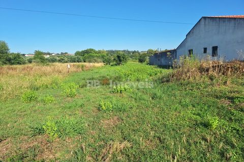 Helårsgrund i Tomar, Santarem, Tomar - € 43.700 | Ref: 01263-24 - foto 4