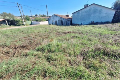 Helårsgrund i Tomar, Santarem, Tomar - € 43.700 | Ref: 01263-24 - foto 3