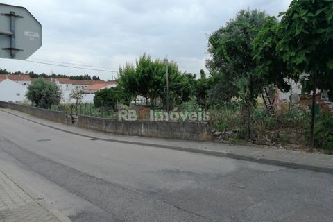 Terra a Atalaia, Santarem, Atalaia - € 200.000 | Ref: 01280-24 - foto 2