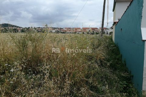 Terra a Atalaia, Santarem, Atalaia - € 200.000 | Ref: 01280-24 - foto 3
