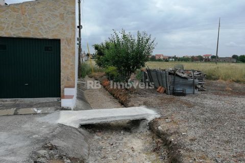 Terra a Atalaia, Santarem, Atalaia - € 200.000 | Ref: 01280-24 - foto 4