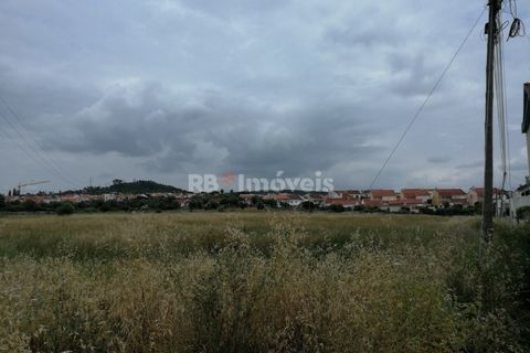 Terra a Atalaia, Santarem, Atalaia - € 200.000 | Ref: 01280-24 - foto 5